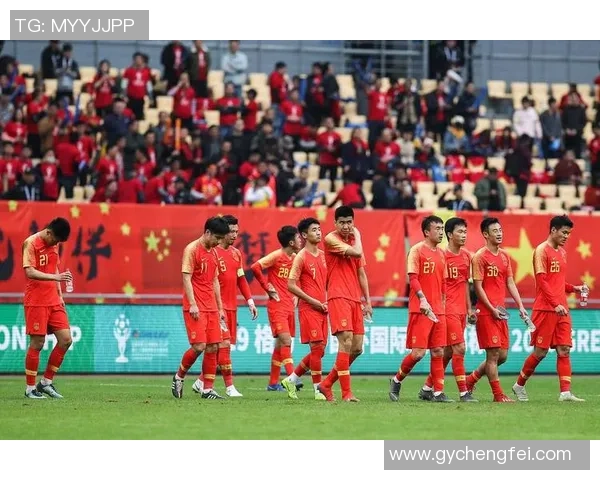 国内足球球星身价排行榜分析 解析顶级球员市场价值与发展潜力